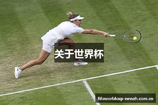 关于世界杯
